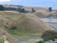 Albums/20060200-New Zealand 2006/20060318-Kaikiura/17